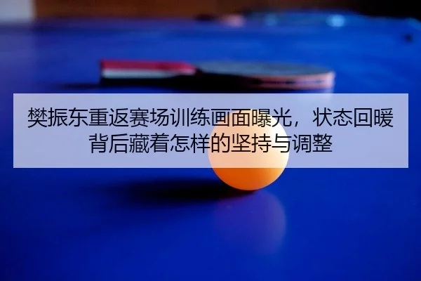 樊振东重返赛场训练画面曝光，状态回暖背后藏着怎样的坚持与调整